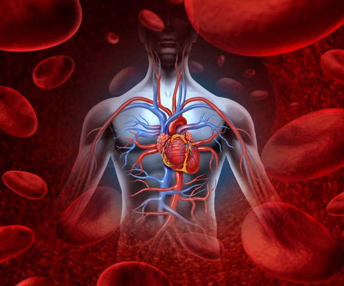 higiene-bucal-e-doencas-cardiacas.jpg